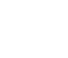 White logo